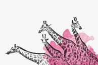 Hand-gezeichnete Giraffen Familie Aquarell by Felix Brönnimann thumbnail