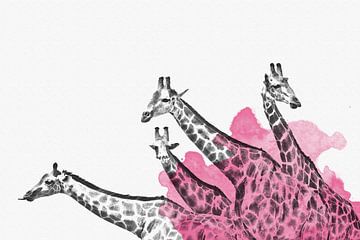 Hand-gezeichnete Giraffen Familie Aquarell by Felix Brönnimann