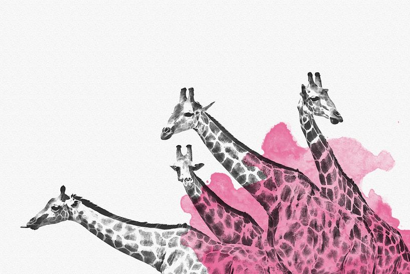 Hand-gezeichnete Giraffen Familie Aquarell par Felix Brönnimann