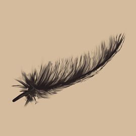 Feather flutters in the air - square work in two colours by Emiel de Lange