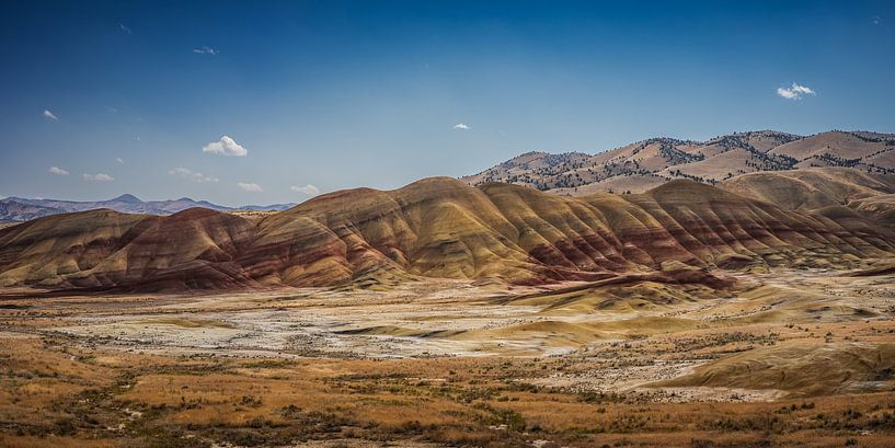Painted Hills, Oregon par Harold van den Hurk