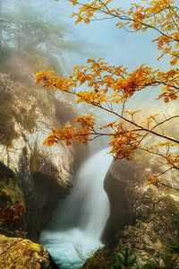 Flow von Lars van de Goor