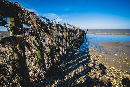 Litter in the Wadden Sea