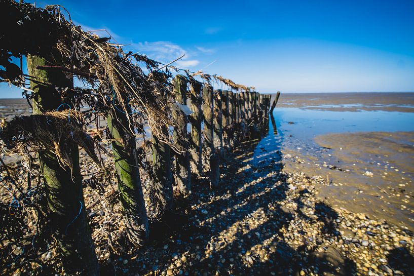 Abfall im Wattenmeer von Fotografiecor .nl