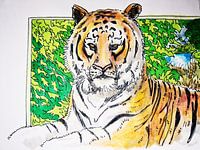 Tigre