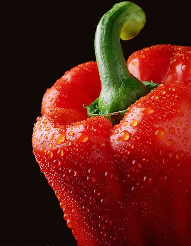 Detailed close-up of a slice of fresh pepper