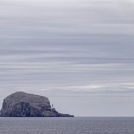Schotland – The Bass Rock – vogeleiland 2 van Ronald Harmsen