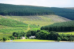 Idylle am St. Mary's Loch