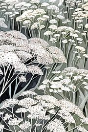 Field with cow parsley in white, taupe and grey by Anna Marie de Klerk