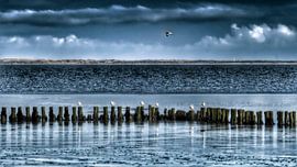 wad met streepje ameland