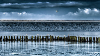 wad met streepje ameland
