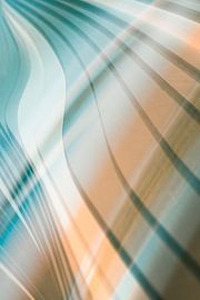 Natur-Linien von Saskia Schotanus