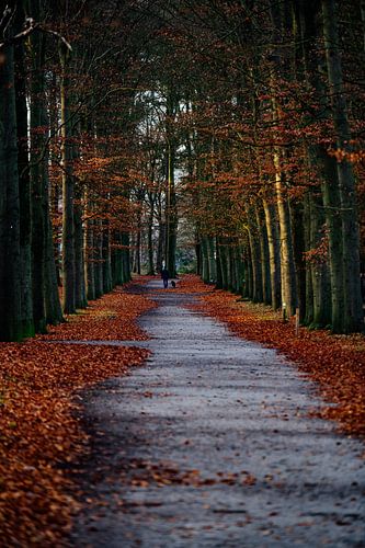 Hiking trail Beerschoten