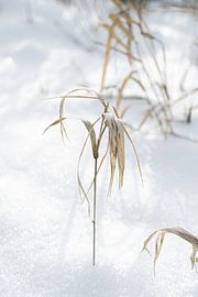 Minimalistisches Winter-Wunderland von HappyTravelSpots