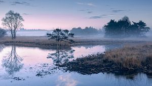 Twents landschap in mist van Yvonne Kruders