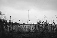 Zwart Wit Water