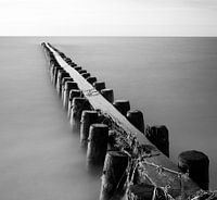 Frisian coast