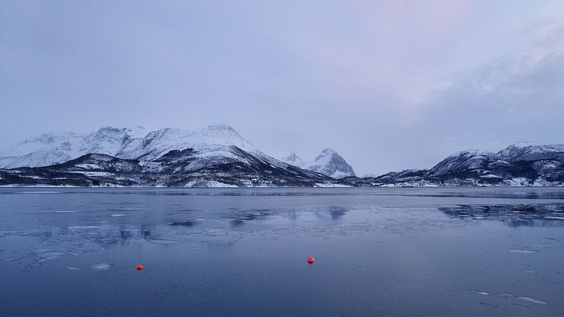 Ågskardet de Esøya par Jane Lin Ness