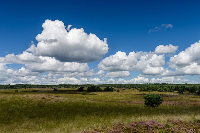 Holländischen Himmel von Erwin Maassen van den Brink