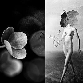 Mannequin van de Hortensia van moonieq