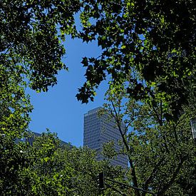 Grünes Frankfurt von Thomas Riess