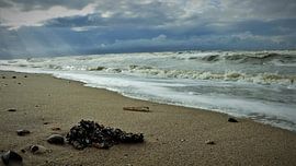 shore by Gjalt Gjaltema
