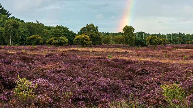 South Heath par Peter Veerman