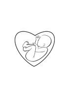 Unborn baby