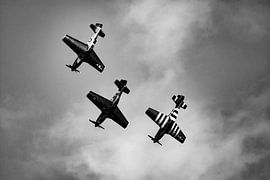 Nordamerikanische P-51D Mustang-Formation von Robbert De Reus