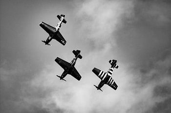 Nordamerikanische P-51D Mustang-Formation