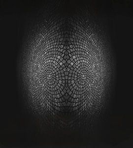 Le poisson de pierre - Art photographique
