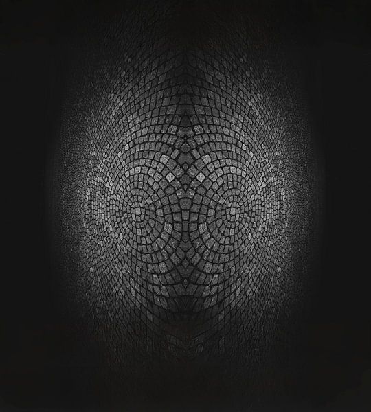 The Stone Fish - Photo Art by Jonas Röjestål
