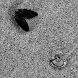 Oostende, België van Jan Van Bizar