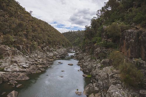 Cataract Gorge: Launceston's Natuurlijke Oase