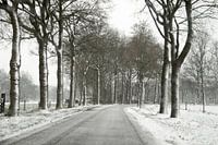 Besneeuwdw weg