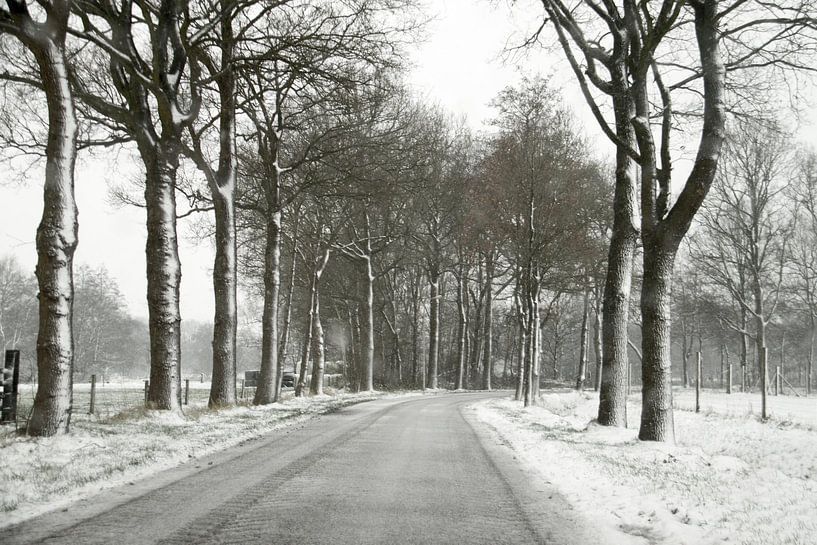 Besneeuwdw weg by Nella van Zalk