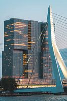 Pont Erasmus, Rotterdam