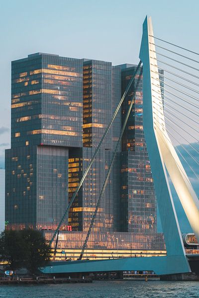 Erasmus bridge, Rotterdam by vdlvisuals.com
