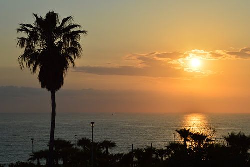 Schöner Sonnenuntergang über dem Meer mit Palmen im Vordergrund