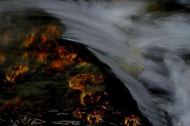 WILDBACH 3 by Miroslav Ptacek