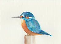 Aquarel ijsvogel