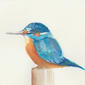 Watercolor kingfisher by Yvette Stevens