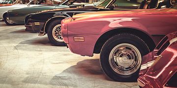 Classic Muscle Cars by Martin Bergsma