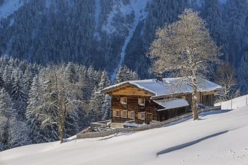 Bergboerderij in de winter van Walter G. Allgöwer