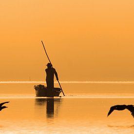 Visser bij zonsopkomst van Antwan Janssen