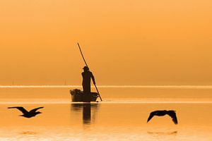Visser bij zonsopkomst van Antwan Janssen