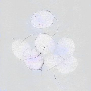 Zilverblad in stoffige roze en kleikleur