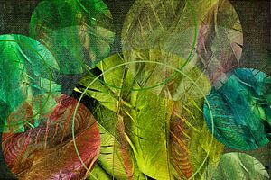 Gefiederte Kreise, digitale Kunst