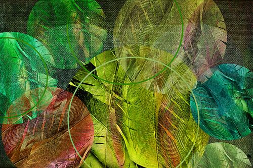 Gevederde cirkels, digital art
