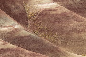 Beschilderde heuvels in het John Day Fossil Beds National Monument bij Mitchell City, Wheeler County van Frank Fichtmüller